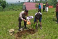 TNI Polri Lumajang tanam 2000 pohon di Buper Glagah Arum
