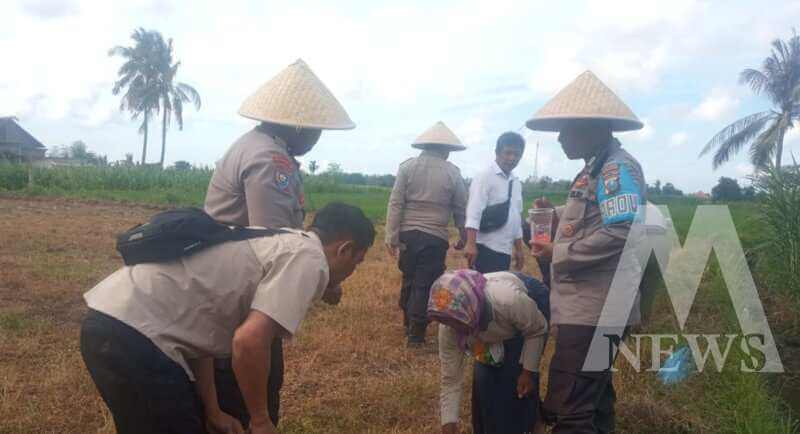 Polsek Cermee Tanam Jagung