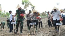 Kapolres Nganjuk AKBP Siswantoro tanam jagung dukung Ketahanan Pangan Nasional