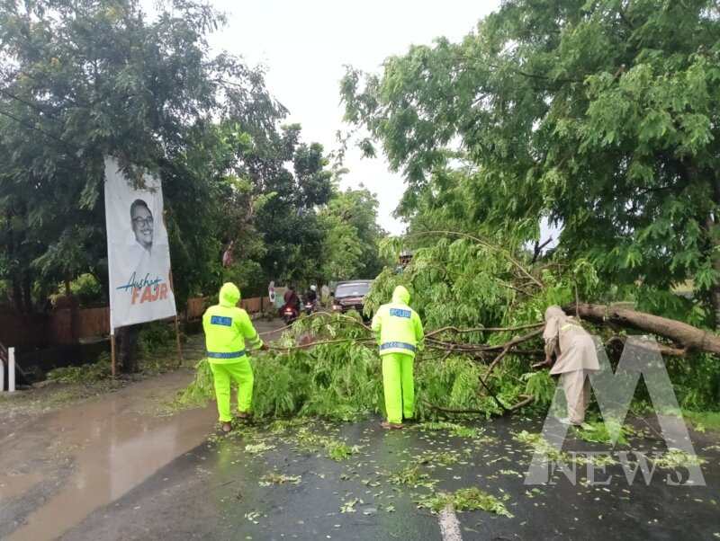 Polsek Rejoso, BPBD dan warga evakuasi pohon tumbang