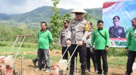 Kapolres Bondowoso AKBP Lintar Mahardhono saat tanam Jagung