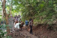 Polres Jember kirimkan logistik Pilkada dengan kuda ke TPS