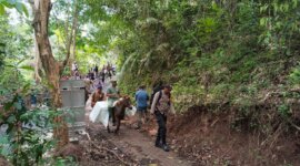 Polres Jember kirimkan logistik Pilkada dengan kuda ke TPS
