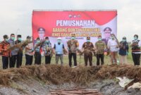 Pj. Bupati Lumajang bersama Polres Lumajang lakukan pemusnahan Ganja