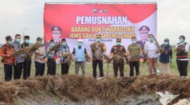 Pj. Bupati Lumajang bersama Polres Lumajang lakukan pemusnahan Ganja