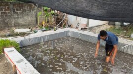 Polsek Lengkong bangun kolam belut dan Mina Padi