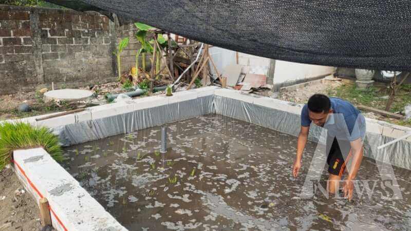 Polsek Lengkong bangun kolam belut dan Mina Padi