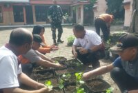Polisi dan TNI budidayakan tanaman pangan