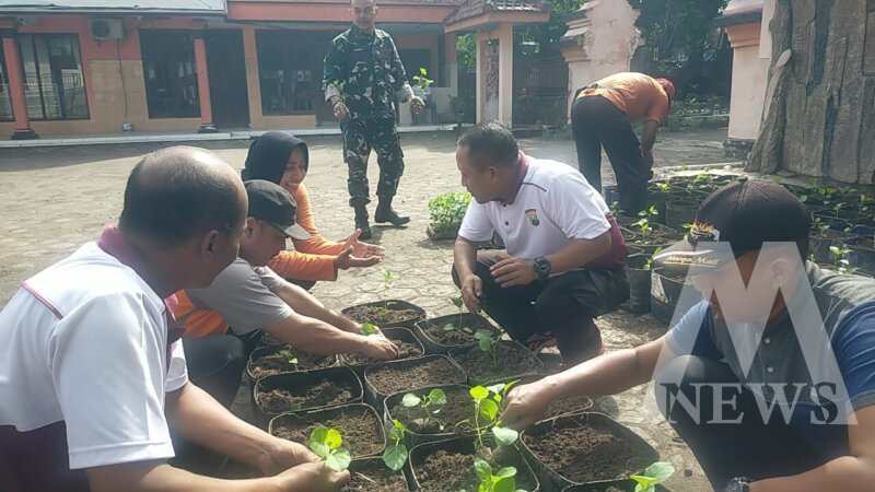 Polisi dan TNI budidayakan tanaman pangan
