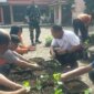 Polisi dan TNI budidayakan tanaman pangan