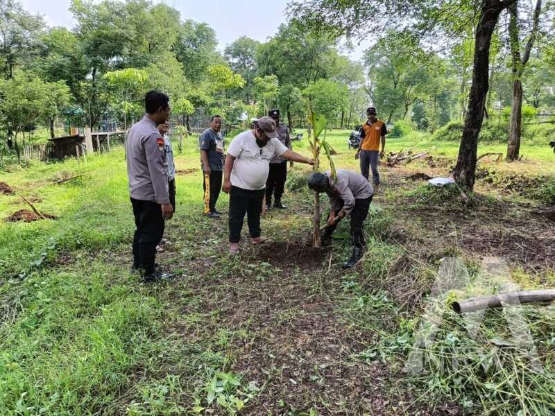 Polsek Loceret bersama Perkawis tanam pohon pisang dukung ketahanan pangan