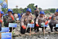 Ditpolairud Polda Jatim dan Polres Gresik Tanam Mangrove
