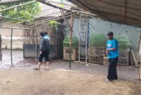 Polsek Baron cek lokasi tempat sabung ayam