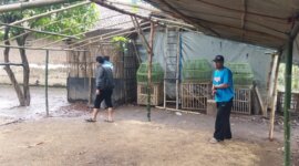 Polsek Baron cek lokasi tempat sabung ayam