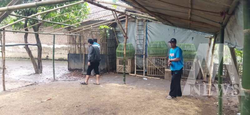 Polsek Baron cek lokasi tempat sabung ayam