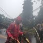 Polisi evakuasi pohon tumbang