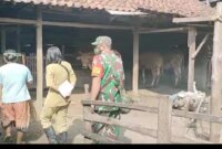 Bhabinkamtibmas, petugas Puskeswan dan Babinsa tangani PMK