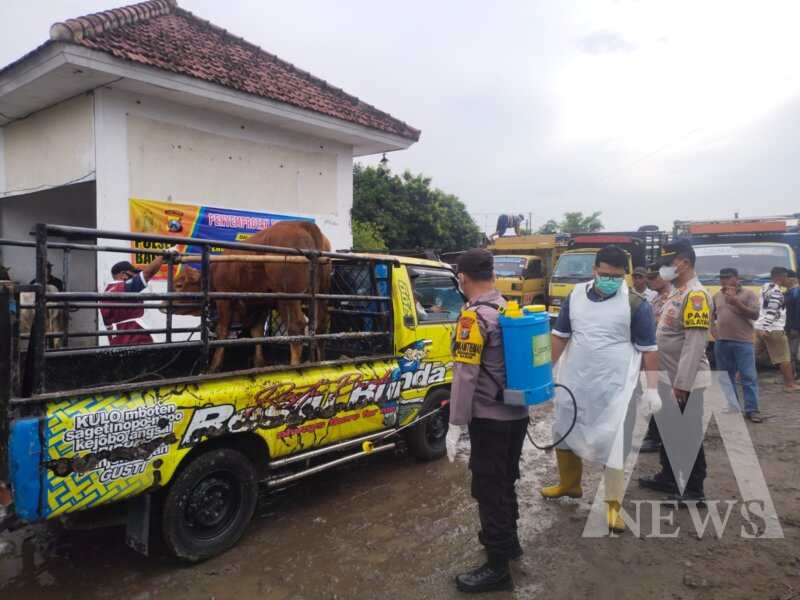 Polsek Bagor dan Dinas Pertanian cegah PMK