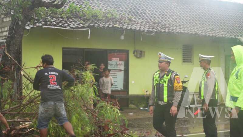Satlantas Polres Gresik evakuasi pohon tumbang
