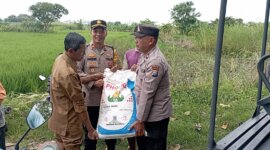 Polsek Cerme bantu distribusikan pupuk