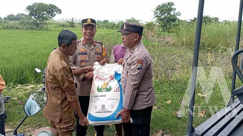 Polsek Cerme bantu distribusikan pupuk