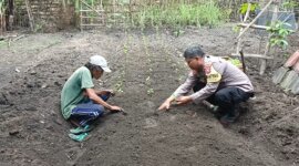 Bhabinkamtibmas bersama warga tanam benih cabai dan terong