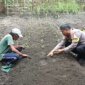 Bhabinkamtibmas bersama warga tanam benih cabai dan terong