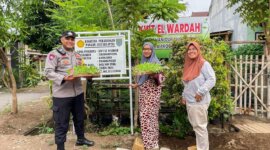 Bhabinkamtibmas dampingi KWT dukung Ketahanan Pangan Nasional