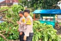 Polsek Loceret evakuasi pohon tumbang di Candirejo