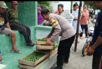 Bhabinkamtibmas Polsek Gondang bagikan 930 bibit tanaman