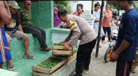 Bhabinkamtibmas Polsek Gondang bagikan 930 bibit tanaman