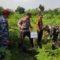 Polres Probolinggo dan TNI tanam pohon di gunung Bentar