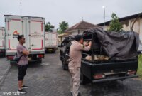 Barantin gagalkan penyelundupan 19 ekor Kambing