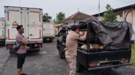 Barantin gagalkan penyelundupan 19 ekor Kambing