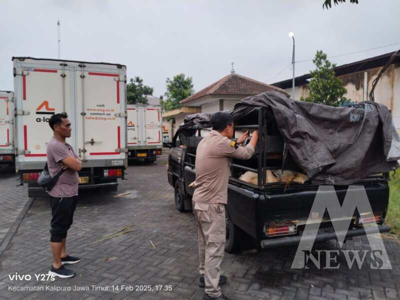 Barantin gagalkan penyelundupan 19 ekor Kambing