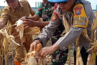 Wujud Nyata Sinergi untuk Ketahanan Pangan Nasional