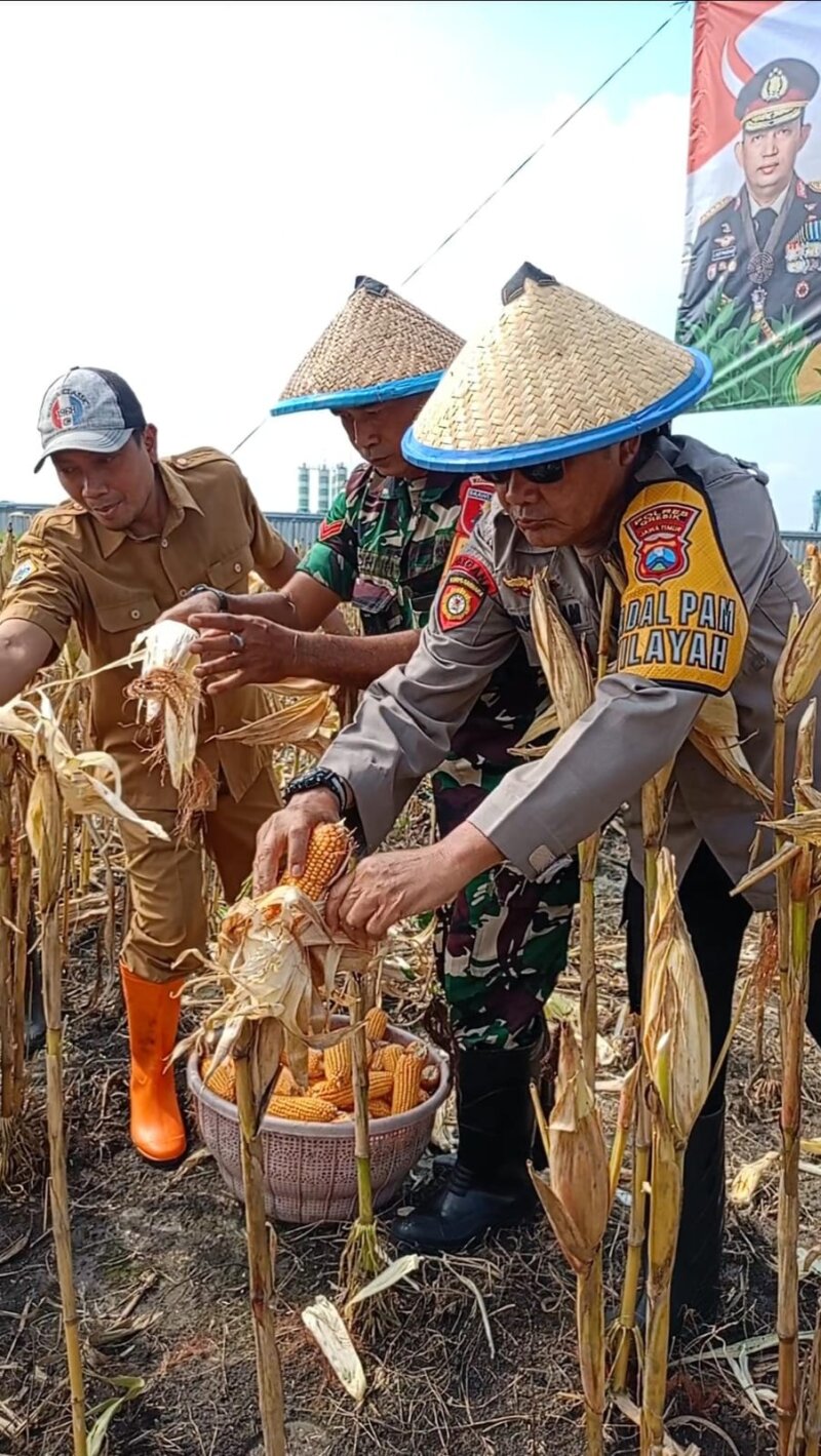 Wujud Nyata Sinergi untuk Ketahanan Pangan Nasional
