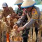 Wujud Nyata Sinergi untuk Ketahanan Pangan Nasional