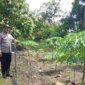 Binmas Polsek Padangan cek lahan Ketahanan Pangan