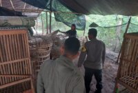 Polres Nganjuk cek lokasi sabung ayam di Bagor