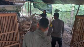 Polres Nganjuk cek lokasi sabung ayam di Bagor
