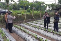 Polsek Patianrowo cek pemanfaatan lahan pekarangan warga