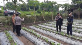Polsek Patianrowo cek pemanfaatan lahan pekarangan warga