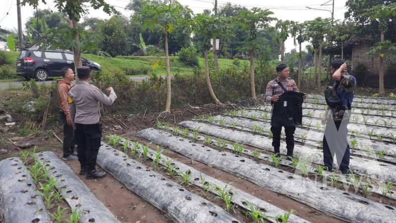 Polsek Patianrowo cek pemanfaatan lahan pekarangan warga