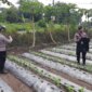 Polsek Patianrowo cek pemanfaatan lahan pekarangan warga