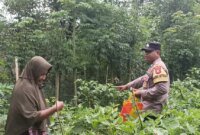Bhabinkamtibmas Polsek Gondang tinjau pekarangan warga