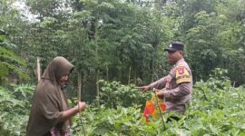 Bhabinkamtibmas Polsek Gondang tinjau pekarangan warga