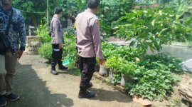 Polsek Baron tinjau budidaya lele