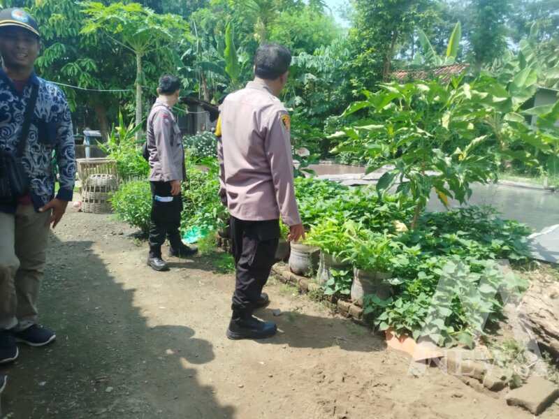 Polsek Baron tinjau budidaya lele