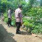 Polsek Baron tinjau budidaya lele